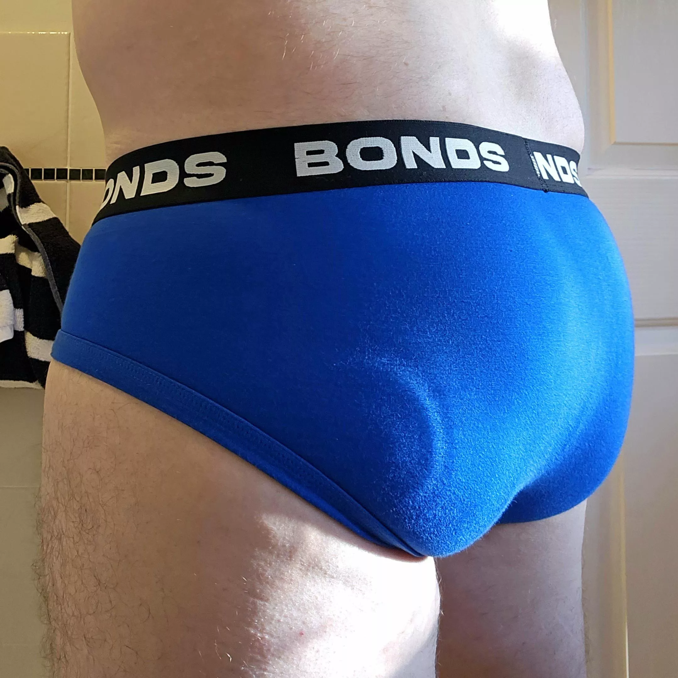 When the morning sunlight hits just right