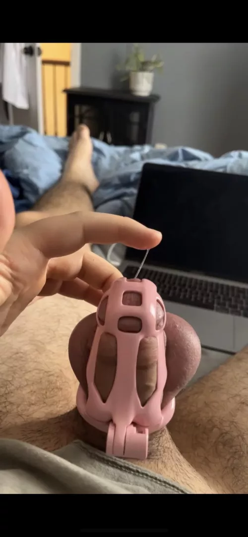 Woke up to a note where the key usually is saying my GF took the key with her to work, this comes right after my first night wearing it all night…love her ❤️😂😫