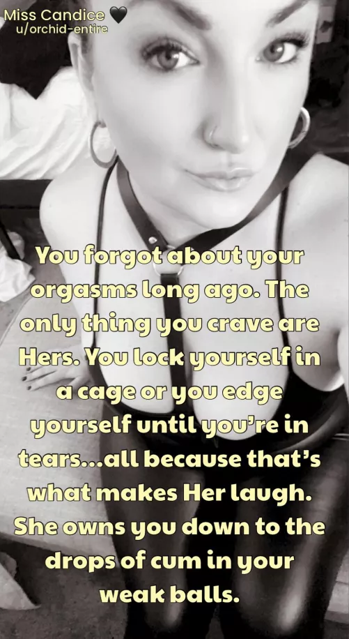 You exist to be her entertainment. And you wouldn’t change a thing.