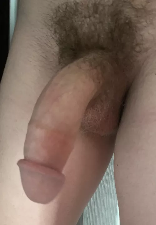 Growing them out I hope you like them