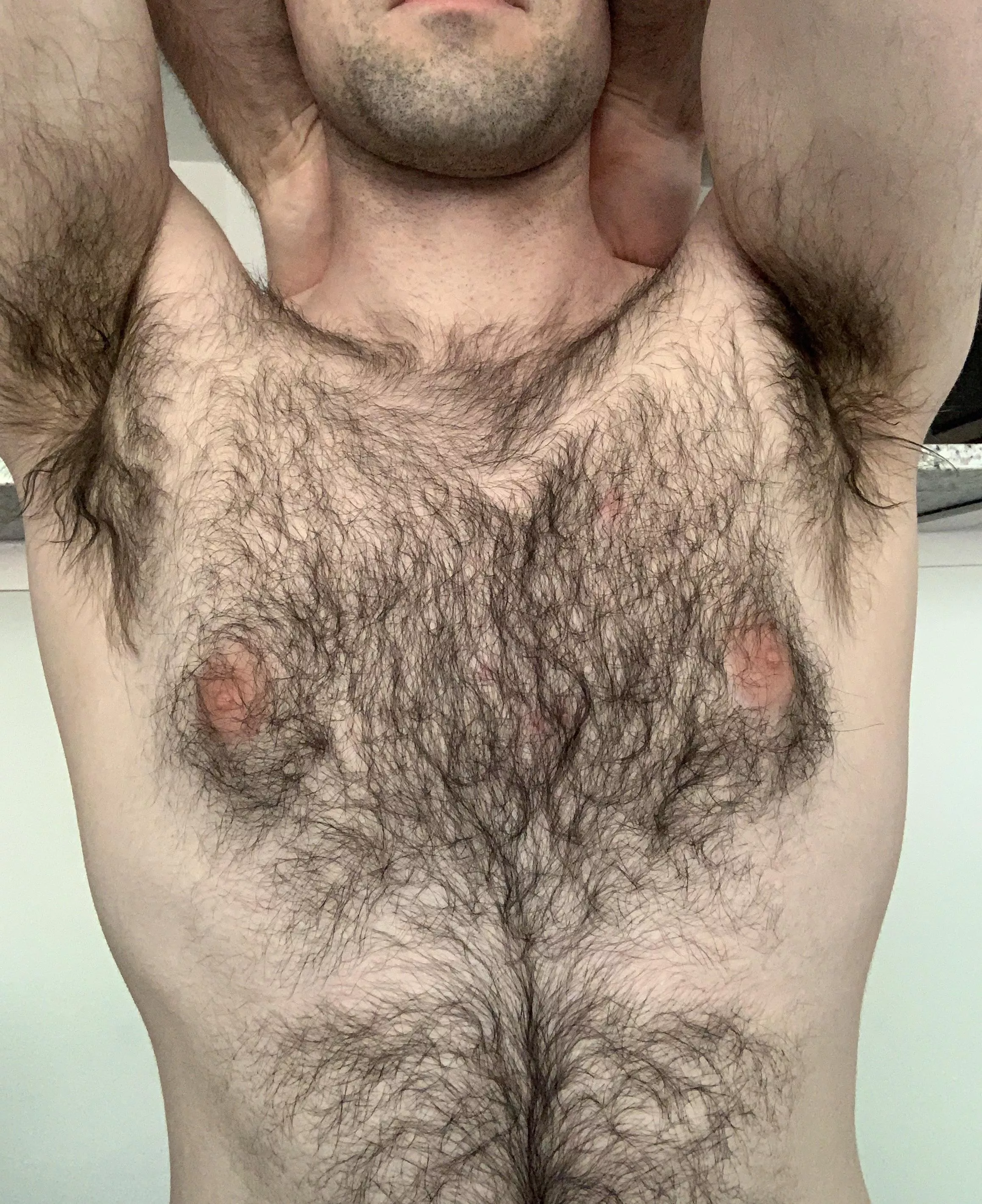 Hope you like hairy