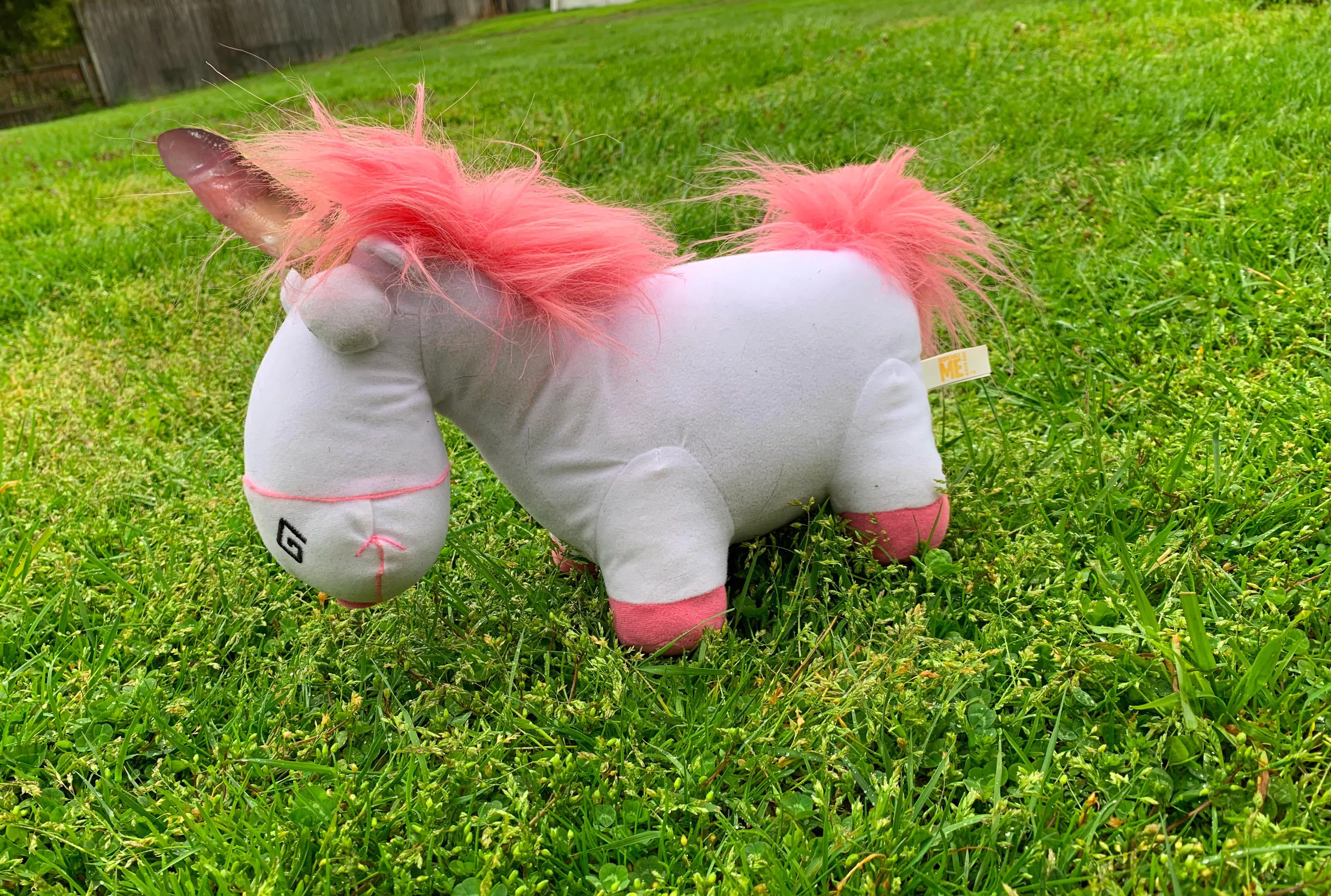 (oc) A rare unicorn!