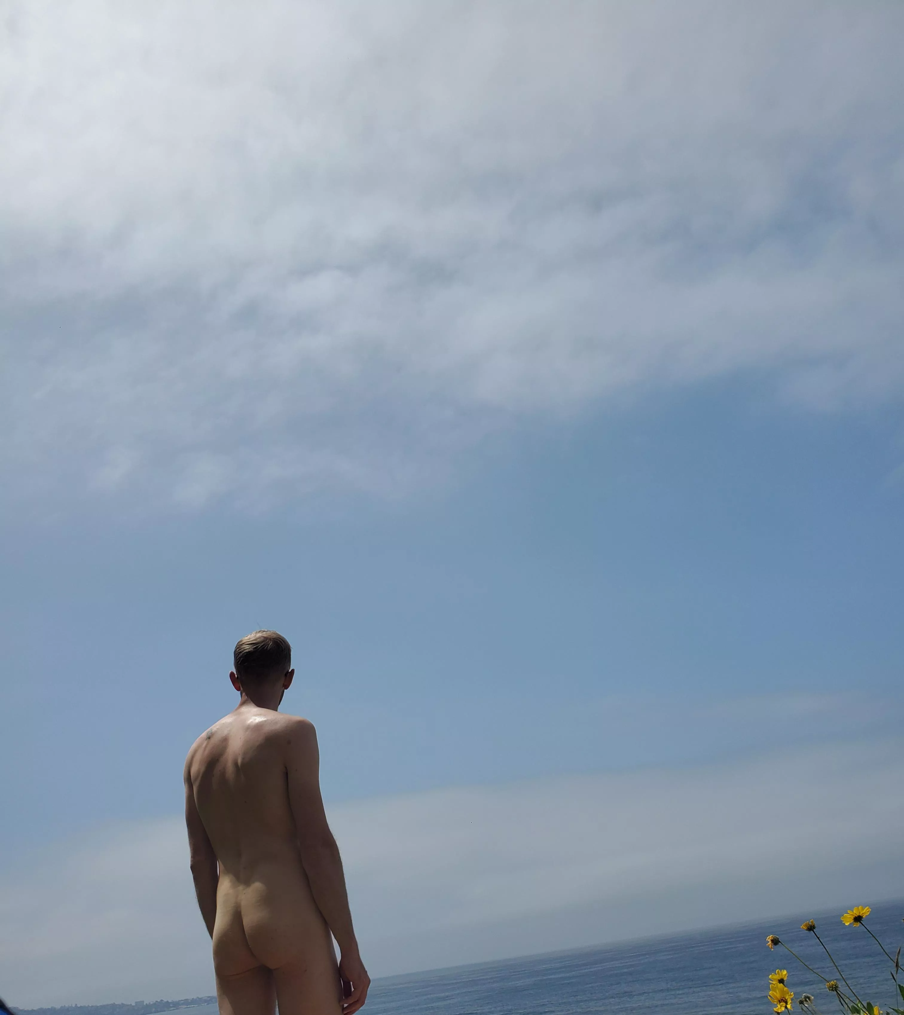 Overlooking Black's Beach