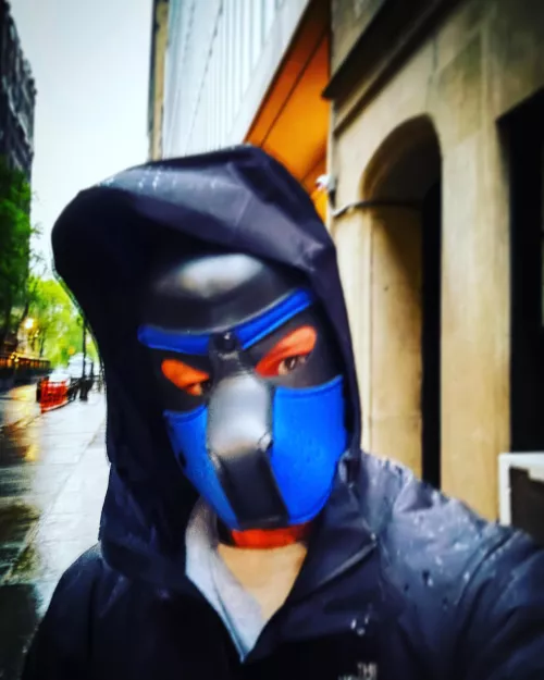 Pouring Cats and Pups today in NYC #pupplay #pupplaycommunity #alphapup #gaypup #gaypuppy