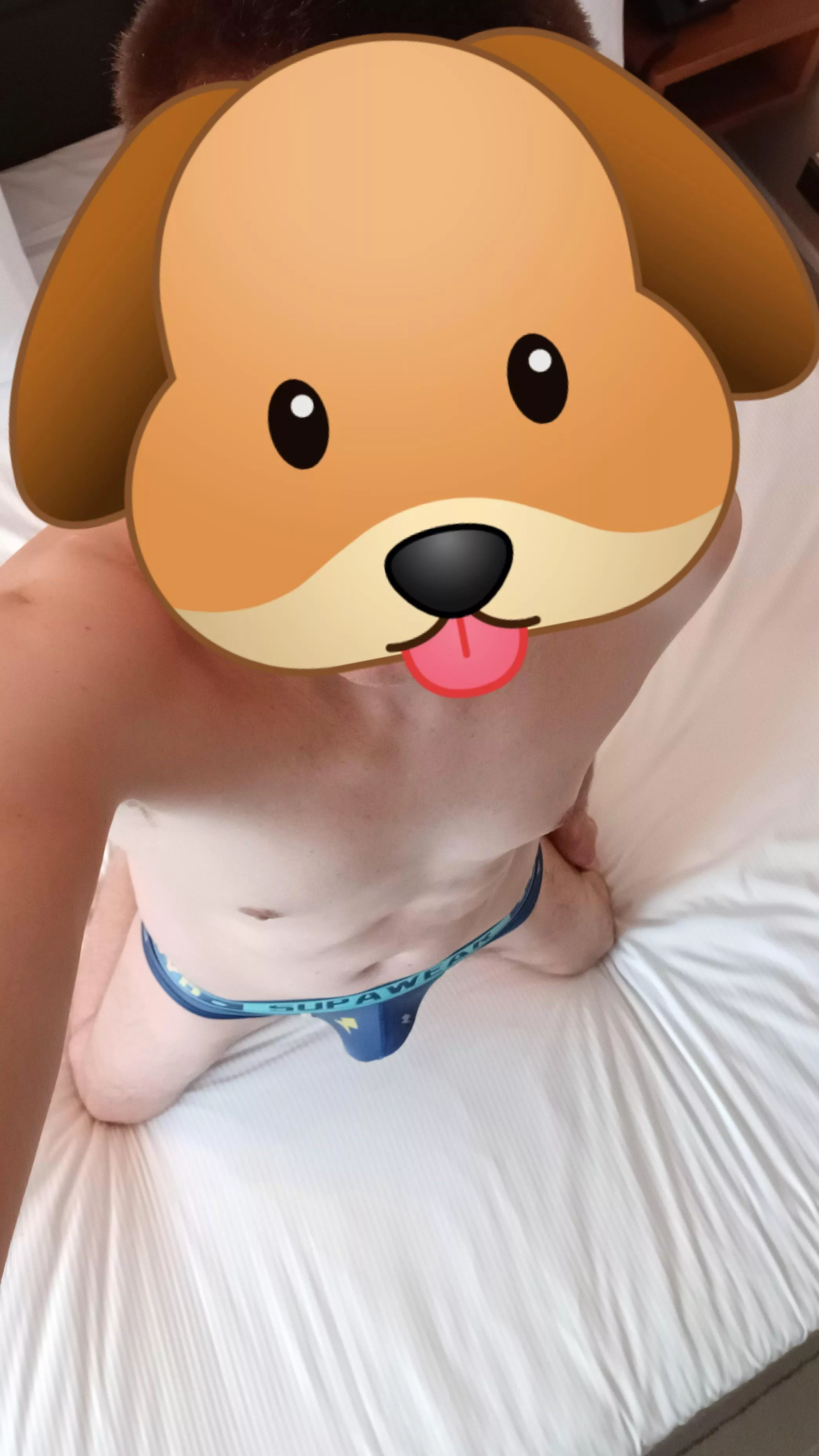 Pup needs a proper hood. How did you choose your color?