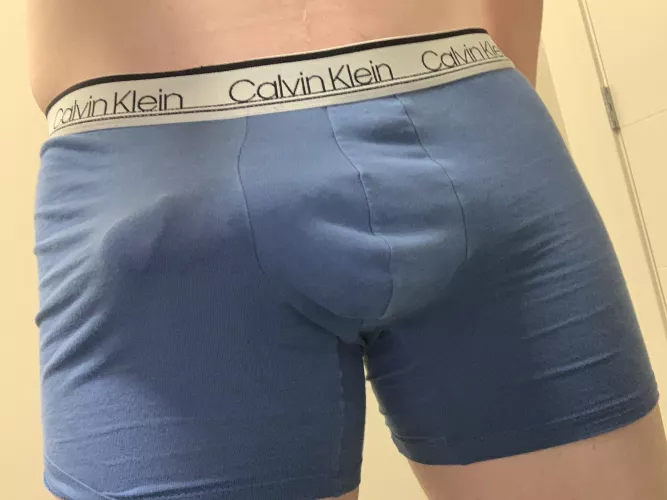 These don’t hide much do they?