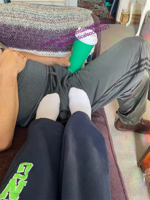 White Vans No Show Socks