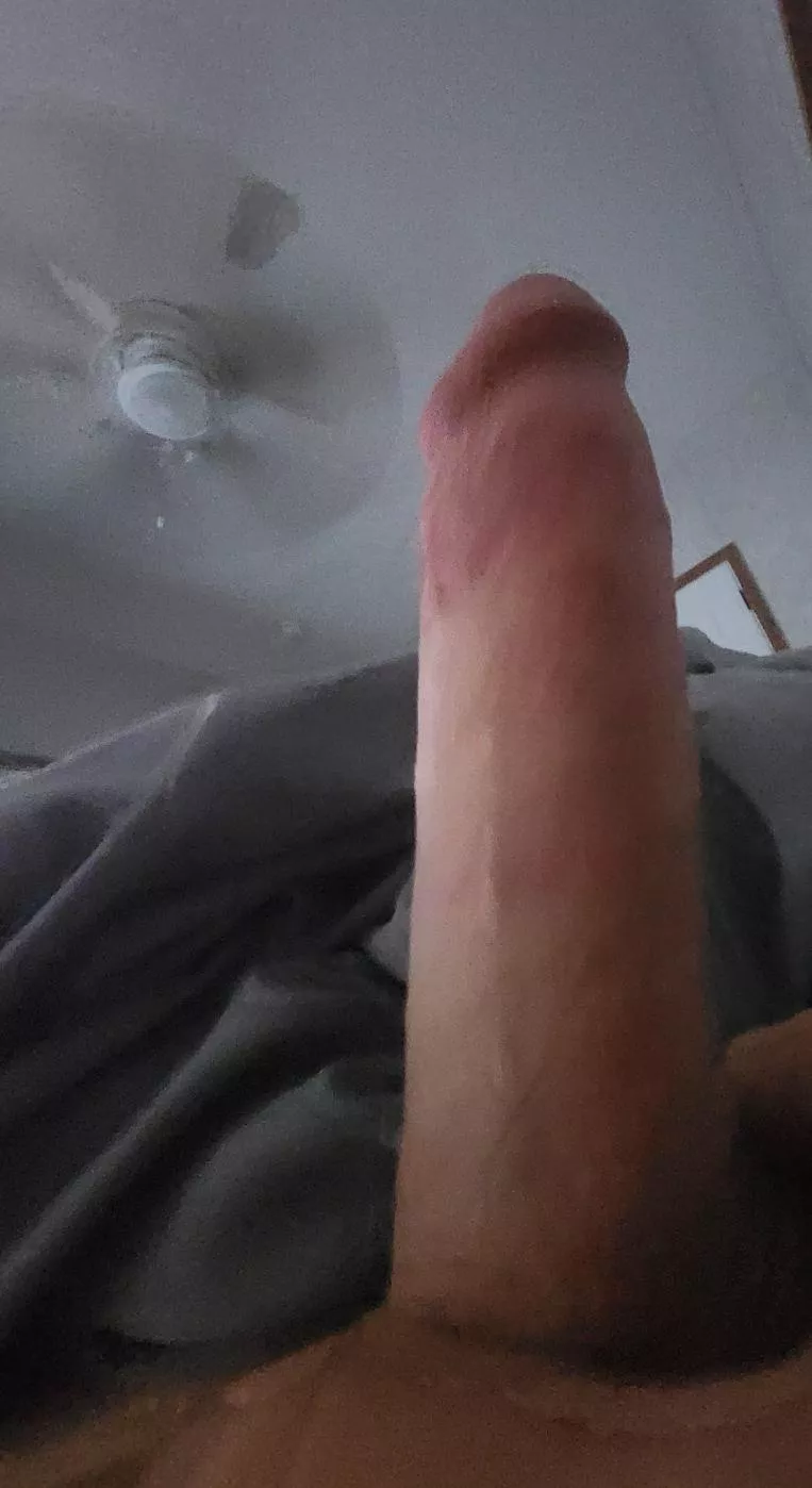 would anyone suck my virgin cock