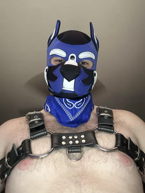 You like the view from down there? 😈🐶😏