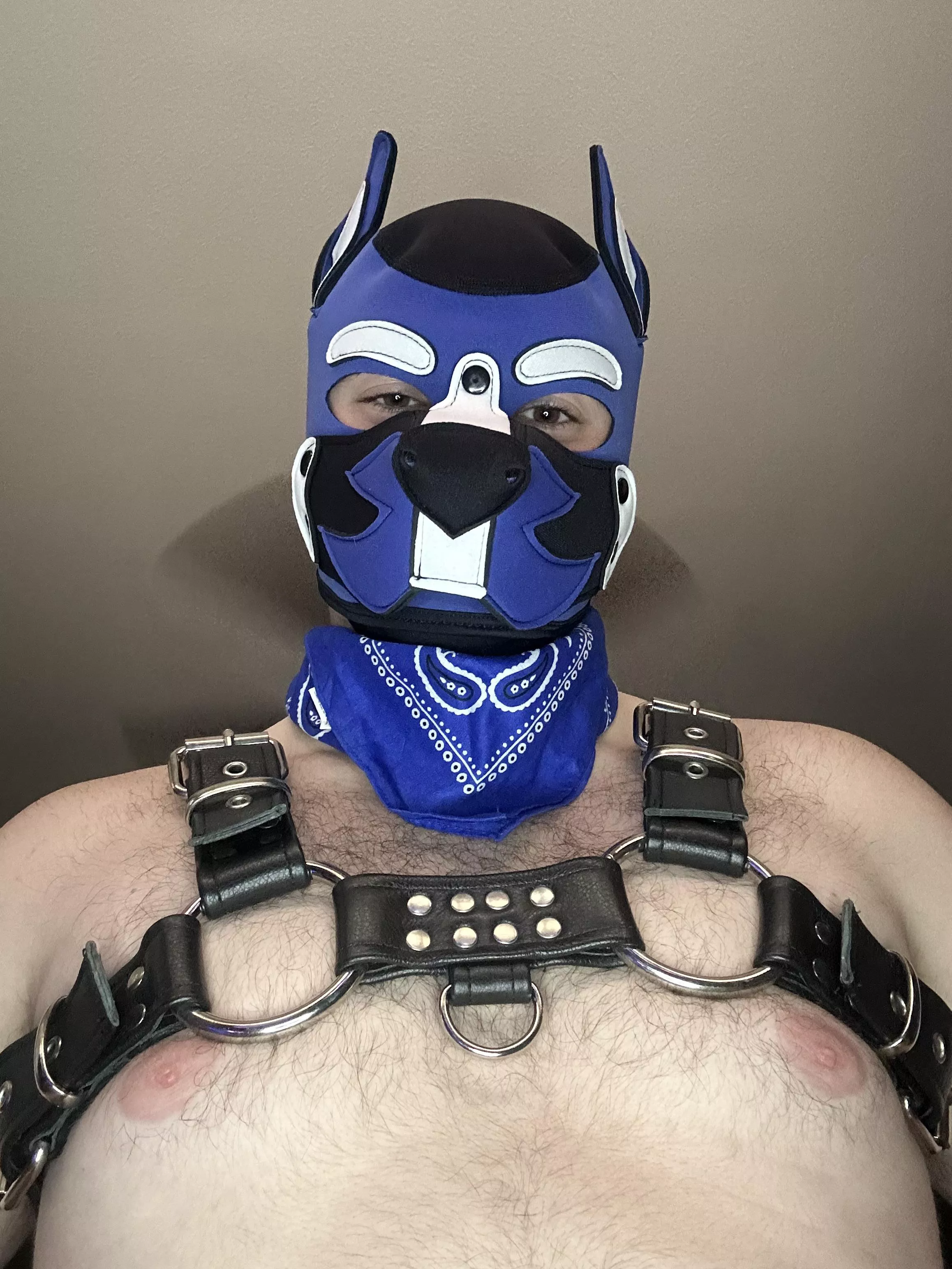 You like the view from down there? 😈🐶😏