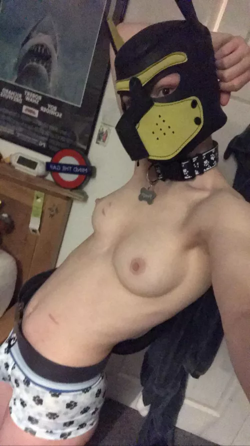 All geared up but nowhere to go ;-; (ftm)