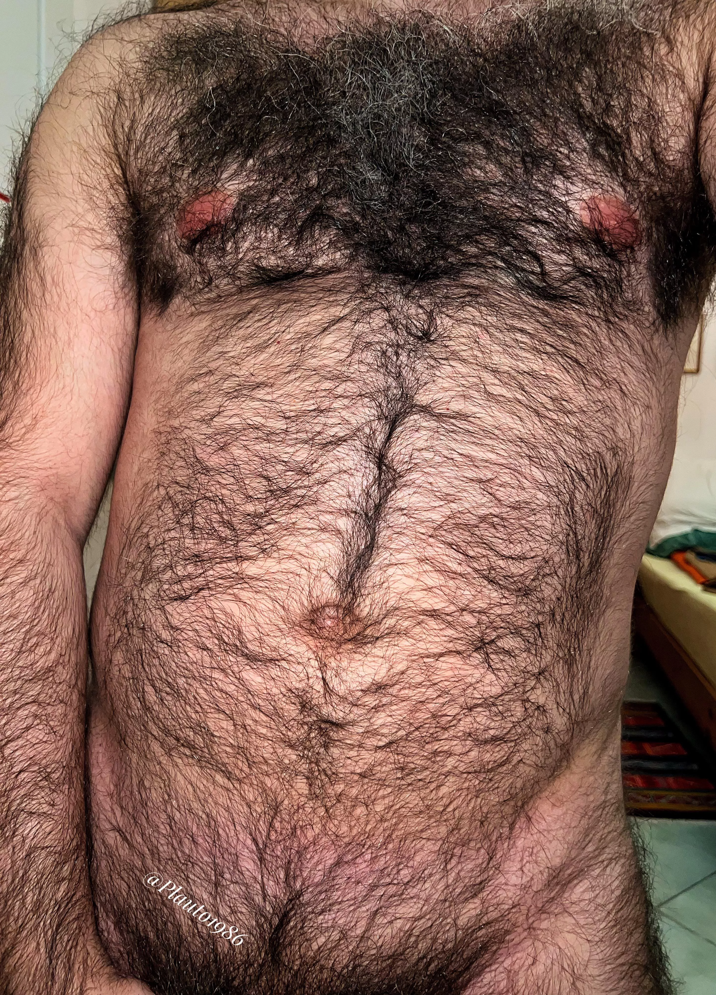 Any twink boy for a ultra hairy dom daddy?