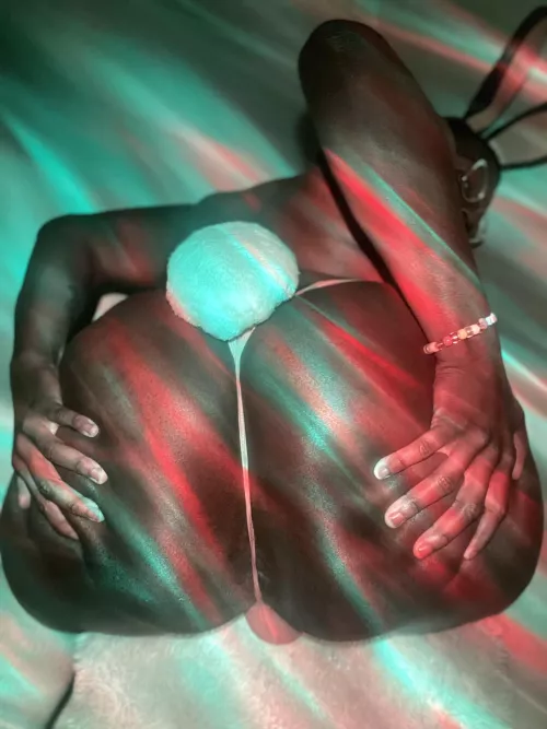 Come play in my rabbit hole 🐰🕳️