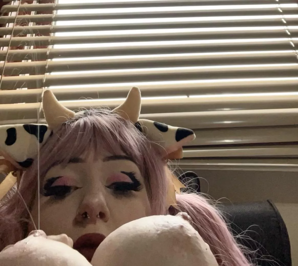 Daily draining 🐮 moo