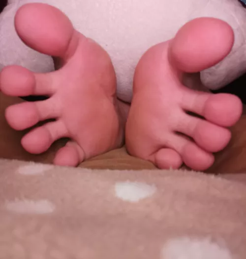 Do you want to see them in action?❤️