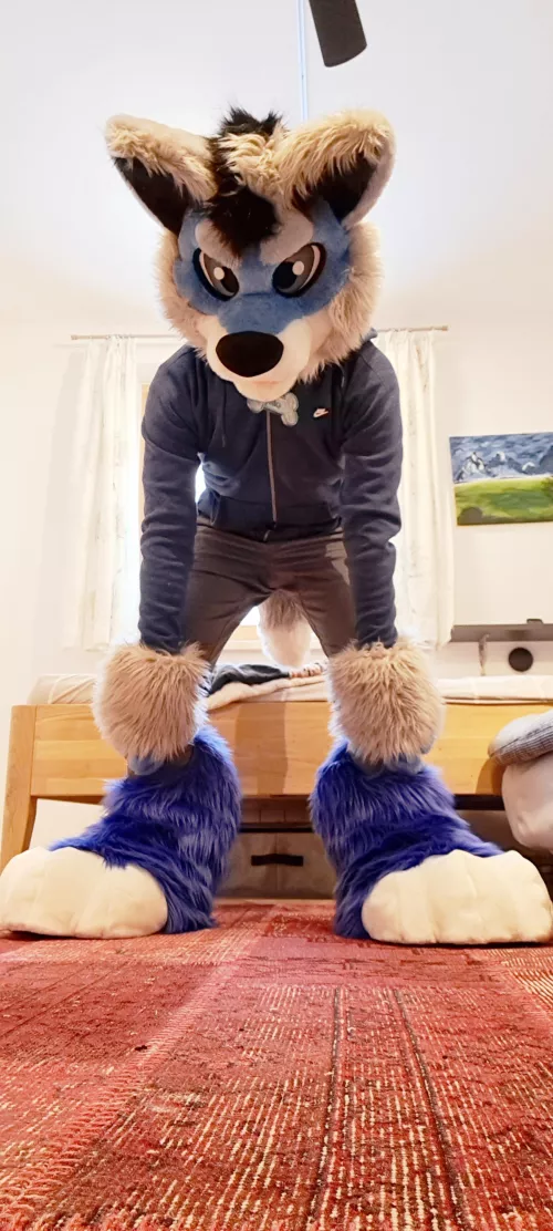 Hello, watcha doing? Care to go for a walk together?