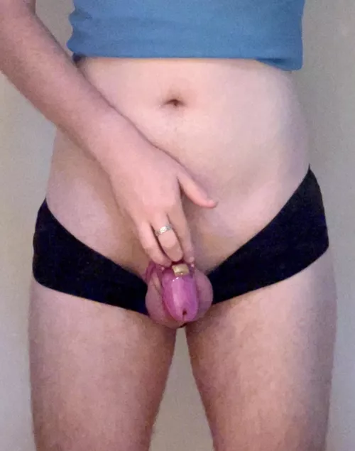 I just recently bought my first cage