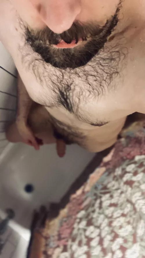 I like the colors in this, happy Sinday!