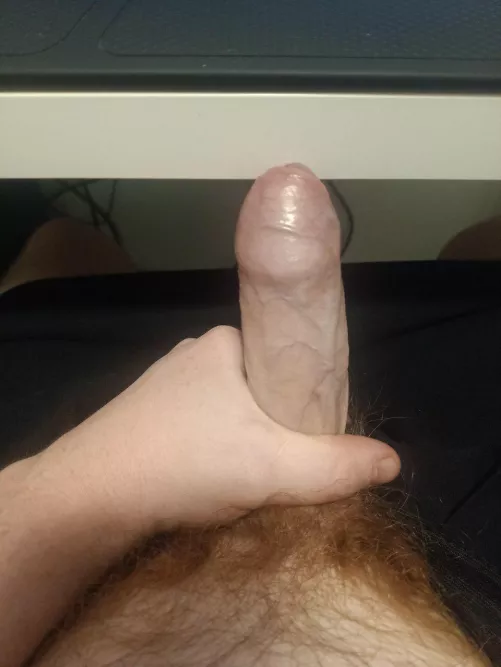 Looking for average cocks to compare to