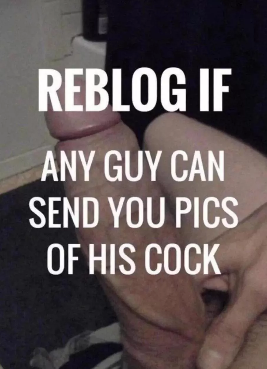 Looking for cock to suck in and around Taylorville Illinois