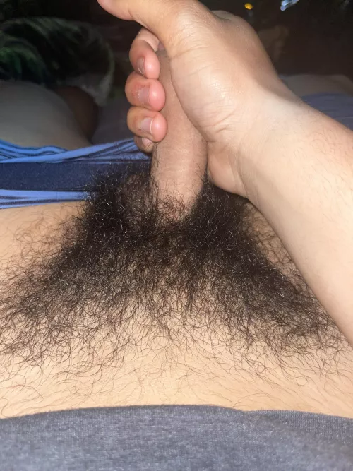 Should I keep growing my bush? (18)