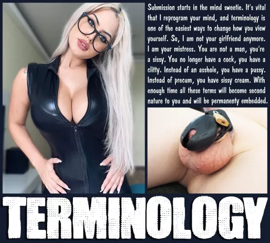 TERMINOLOGY [chastity] [femdom] [submission]