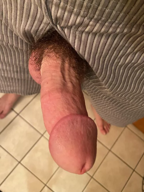 This dick got drunk, high, and horny last night… wanna do it again? (31)