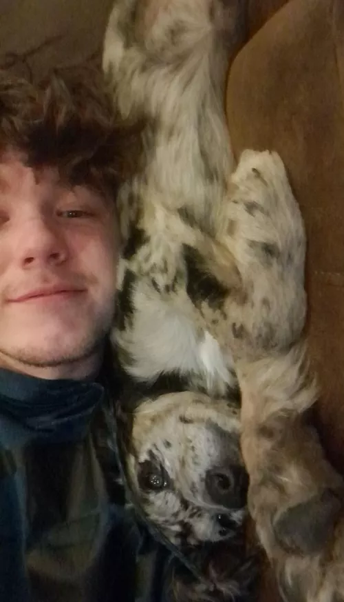 Wholesome puppy post