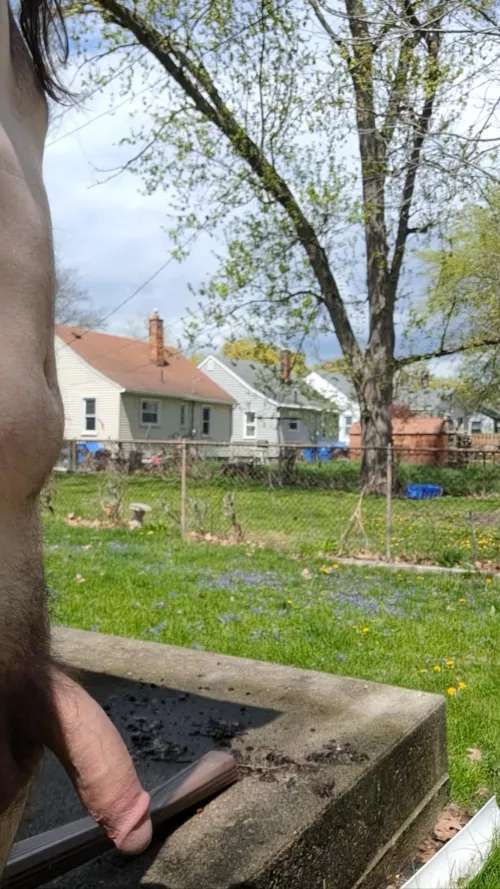 With houses this close, everything feels public