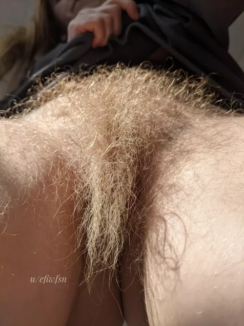 Your face looks nice, can I bury it in my rug?