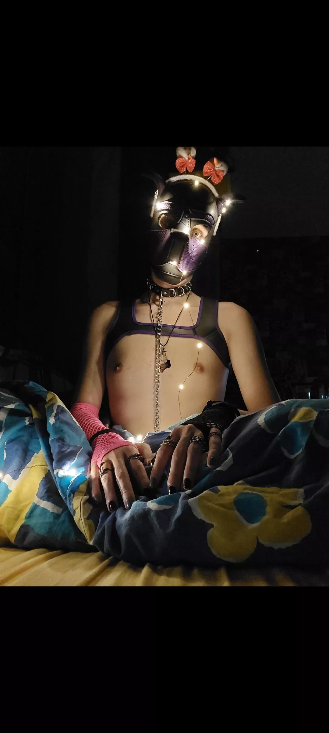 Bed has more space! 🐾🐶