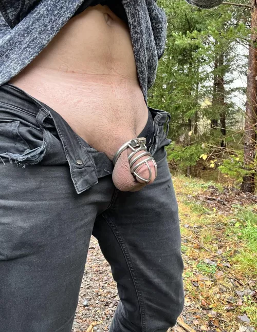 Catch me in the woods