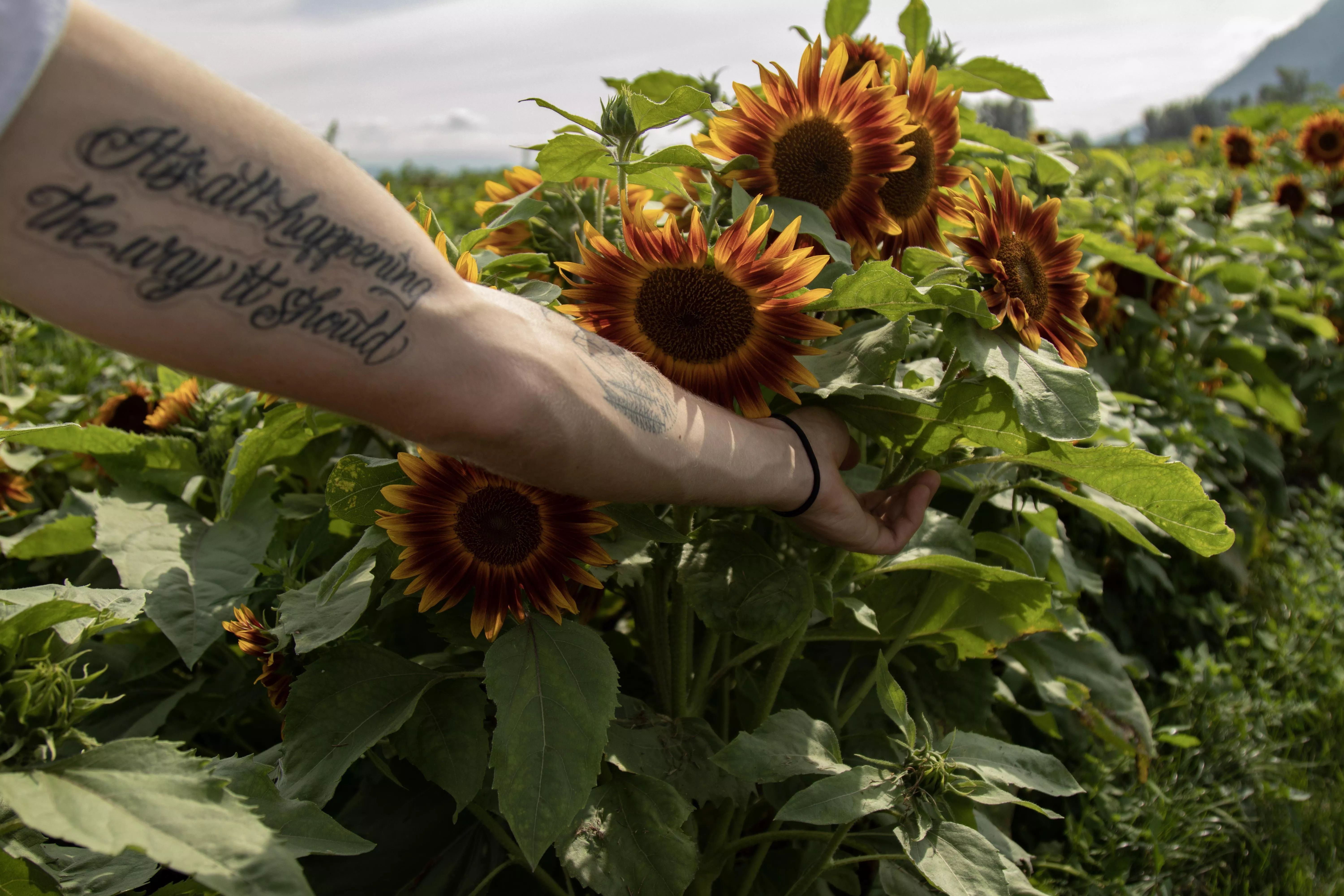 Climbing has been doing wonders for the forearm veins 😘