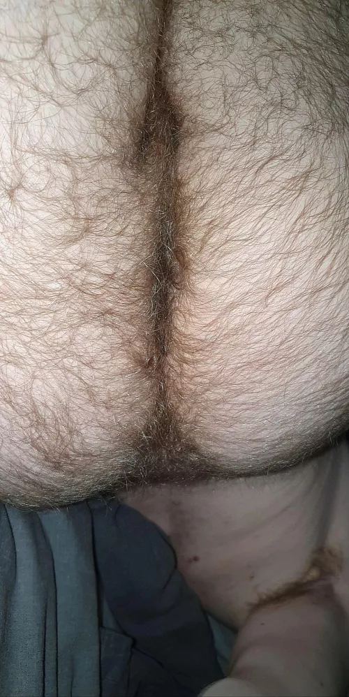 Come put your face in my hairy ass crack