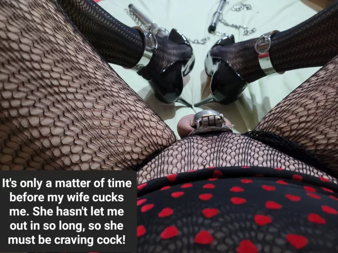 Dilemma of a chaste sub.