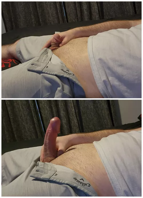 From a walnut to oak tree