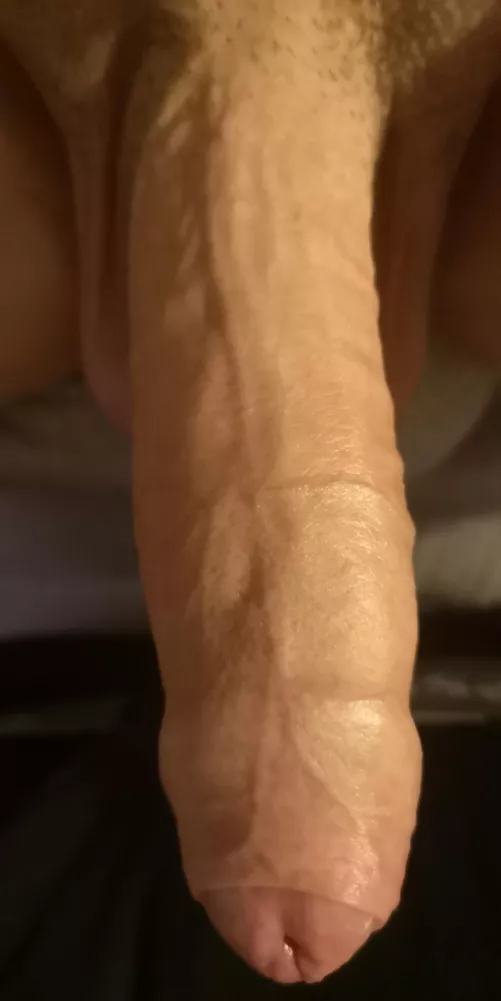 From chatting to other redditors!