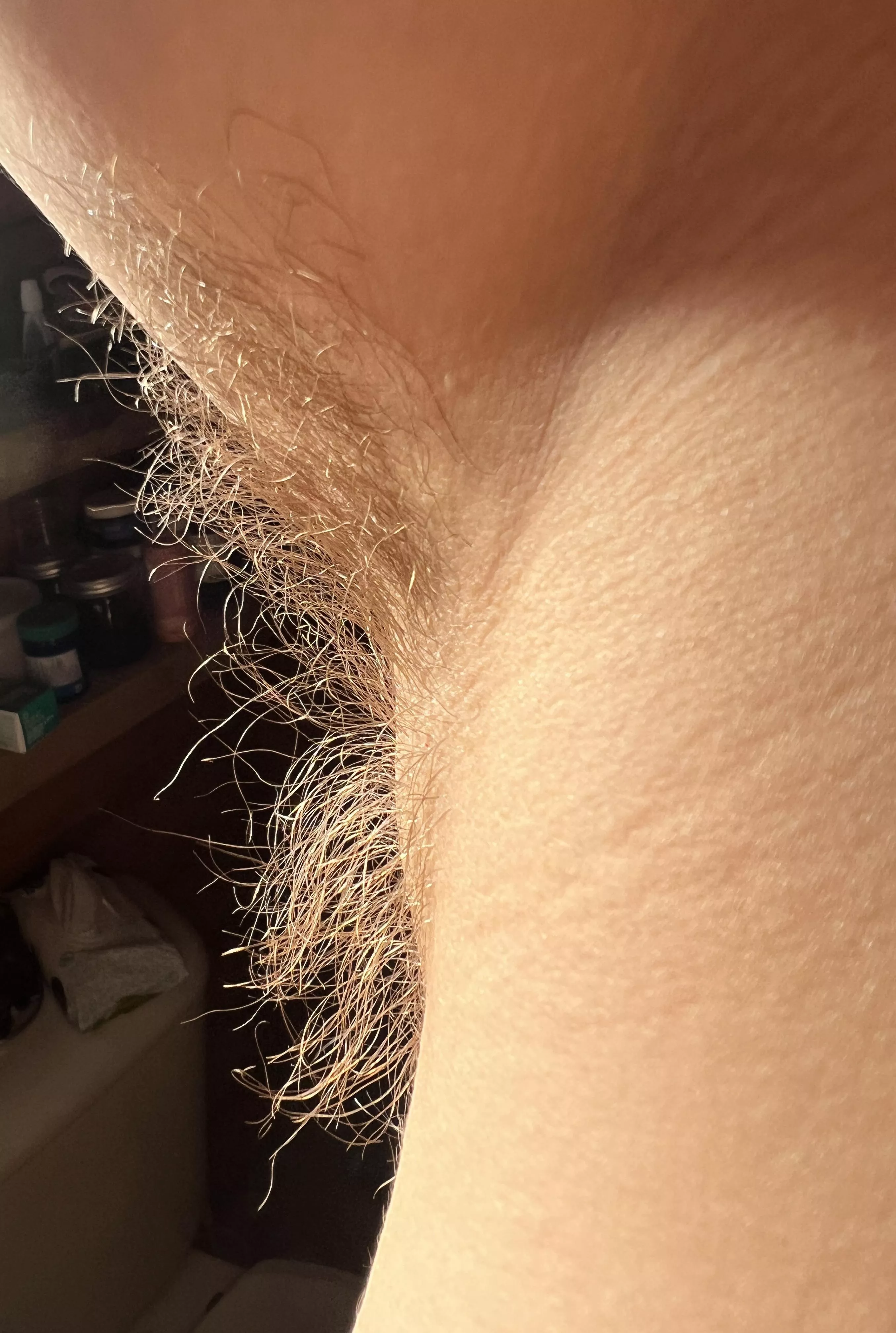 How long do you think it’s been since I’ve shaved? I love how golden they are in the light