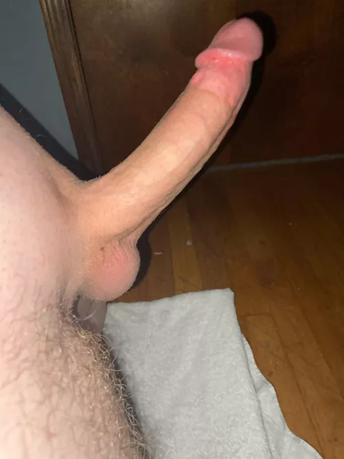 How would you rate my 19 year old cock?