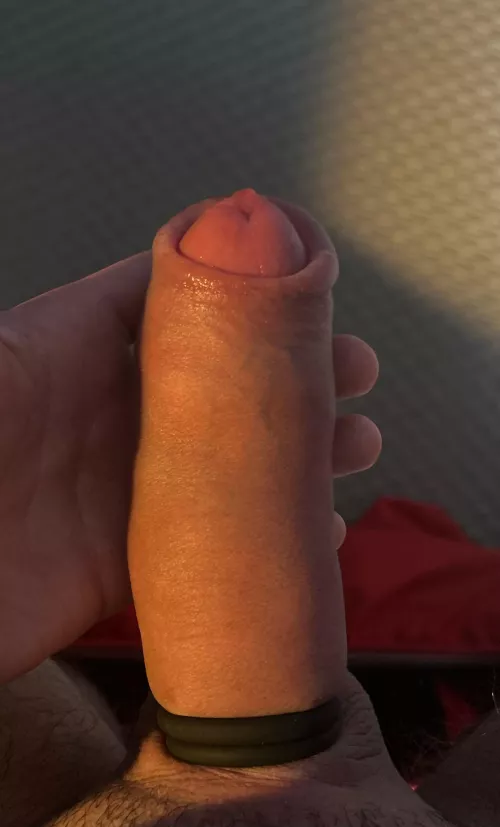 Long pump session result