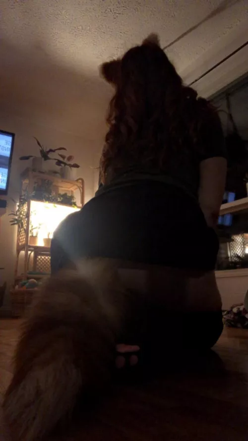 Need someone to pet me