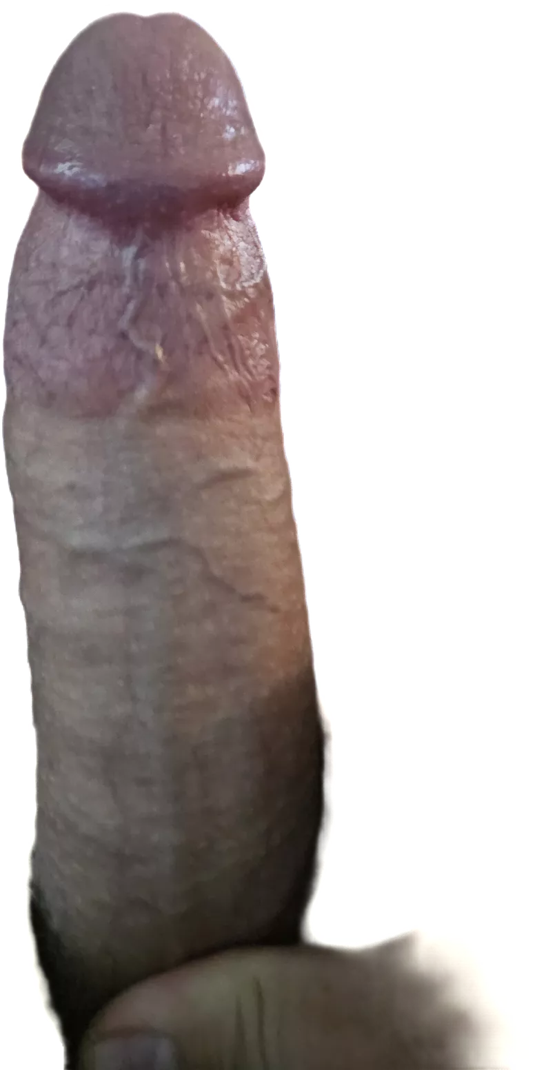 New phone photo feature.