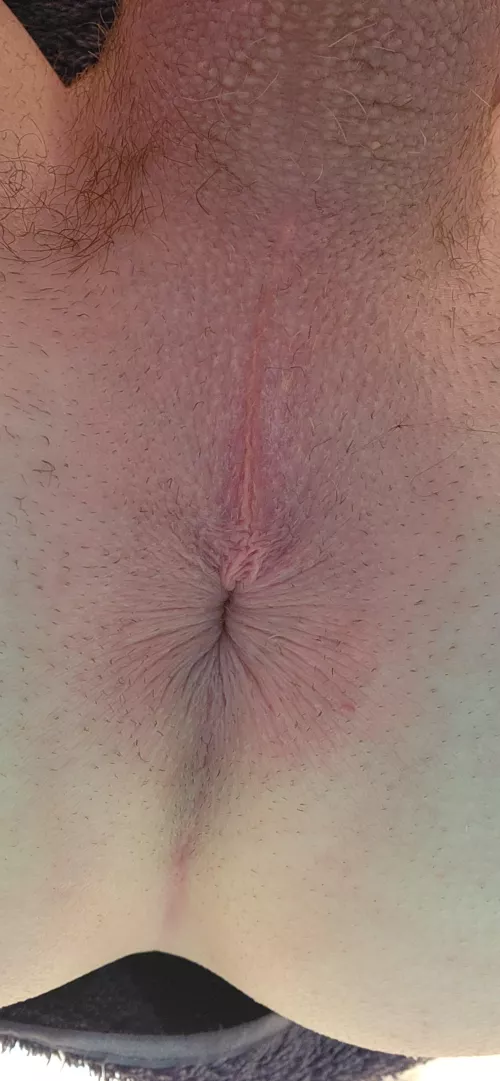 Oh, hey. What are you doing under there?