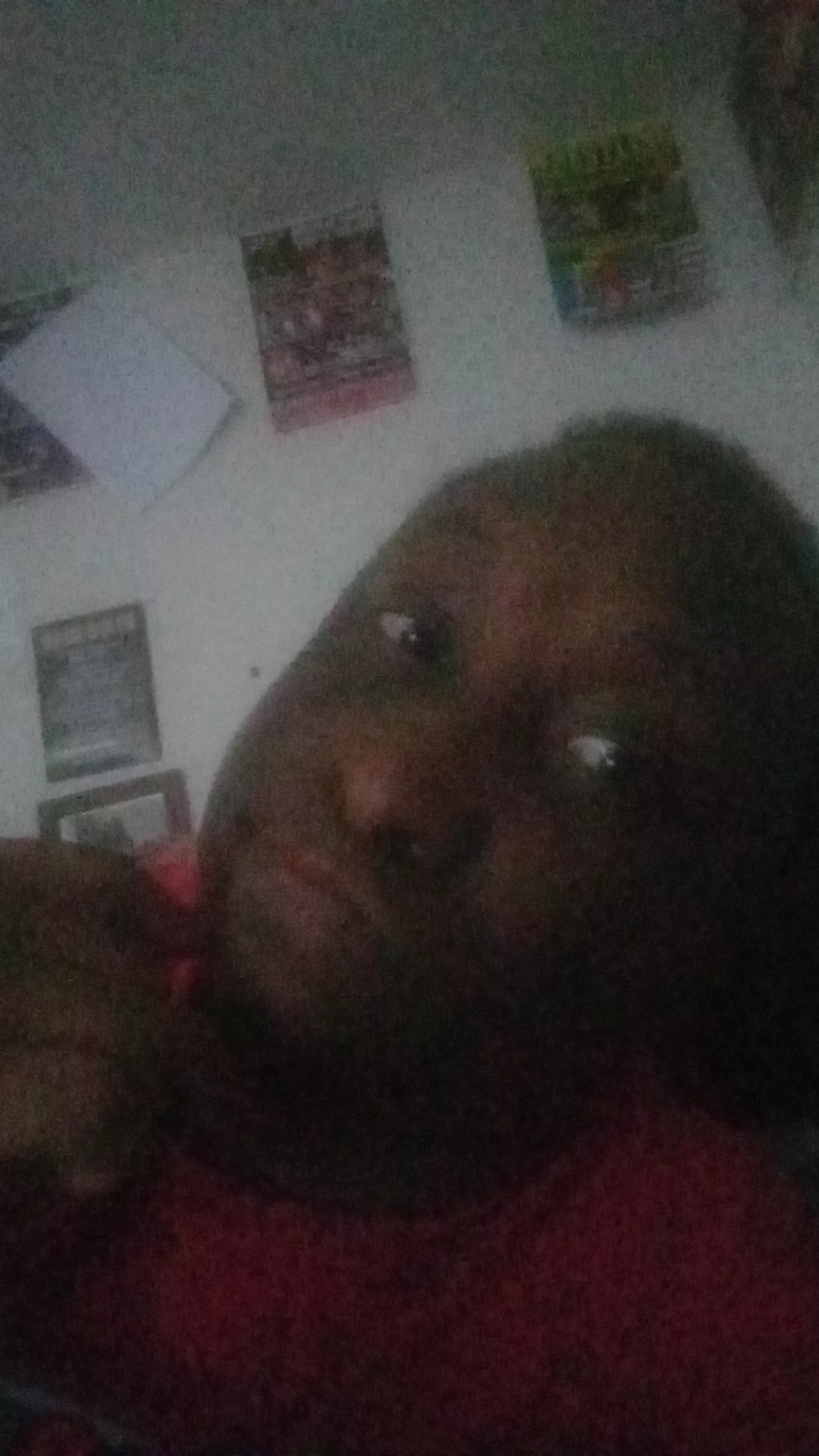 Resting before my Florida trip this week. [30]