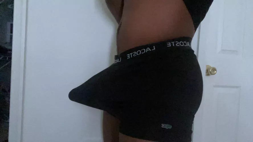 The worm wants to be a butterfly so bad. Should I take it out of its cocoon?