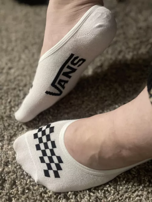 white vans no-shows [f]