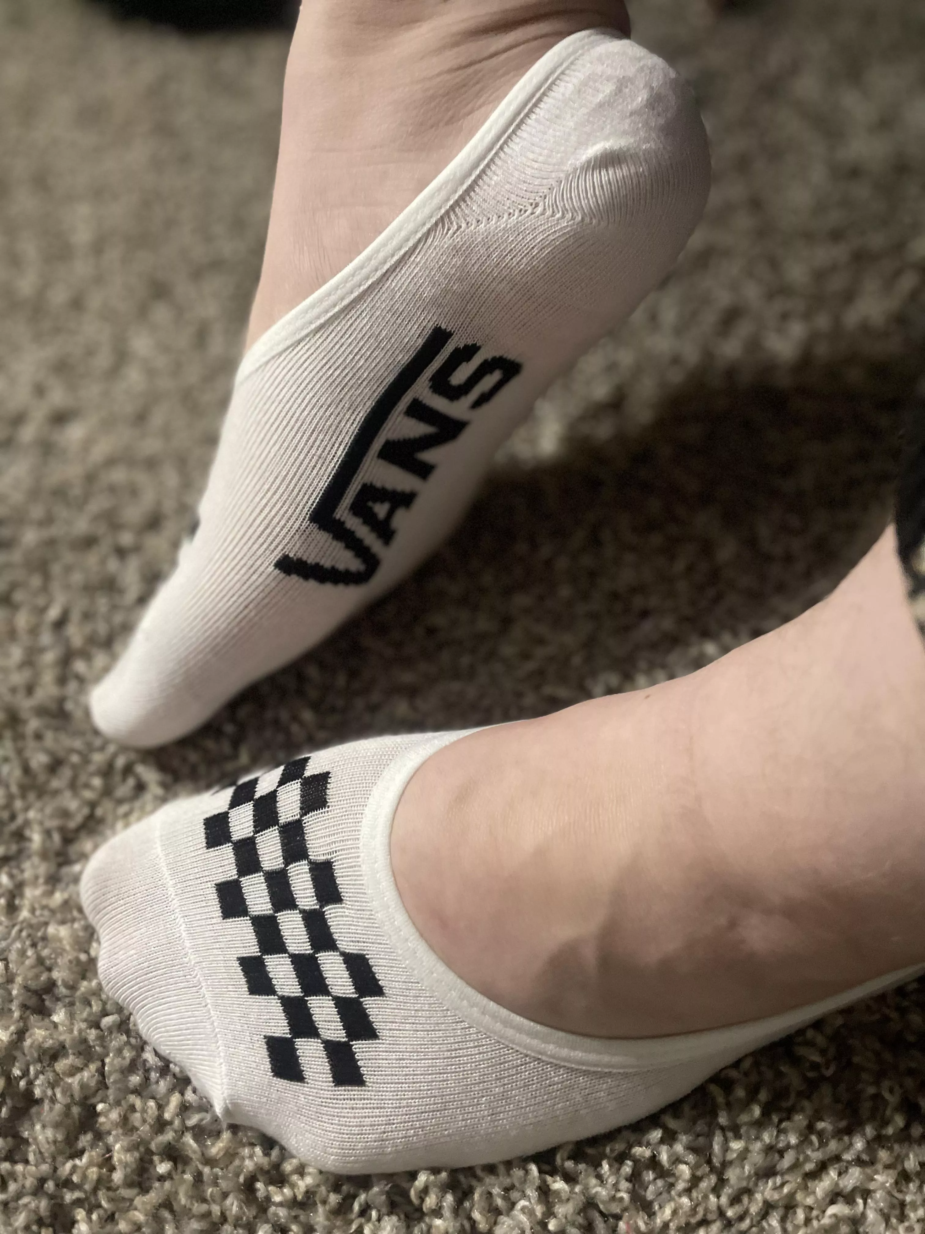 white vans no-shows [selling]