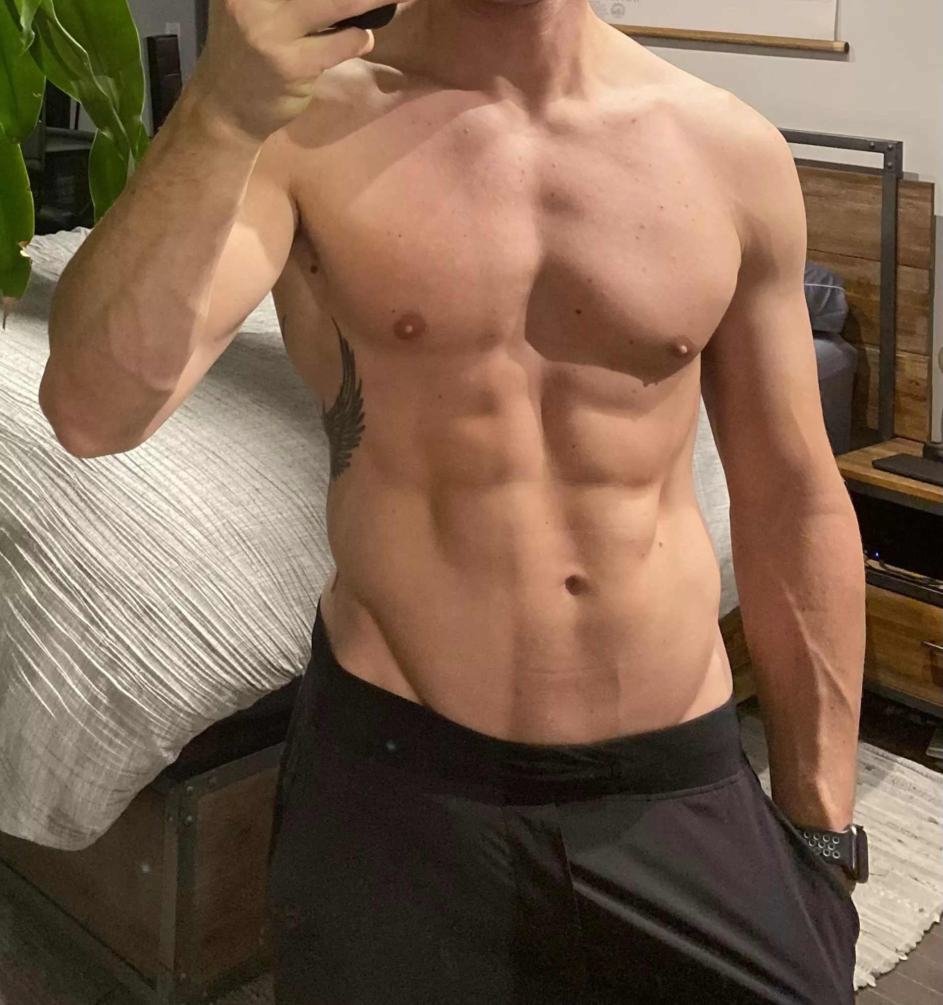 37M - Fit experienced bull looking in NOVA/DC/DMV