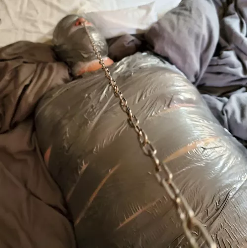 A recent playtime with my kitten