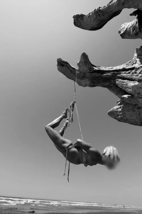 A weekend on the Olympic Coast